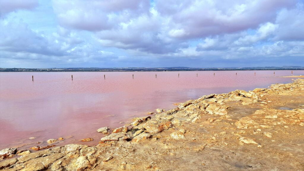 the pink lagoon of alicante seen from the shore with its characteristic pink color in the water