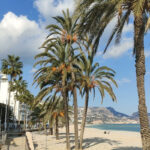 espigo beach altea images (8)